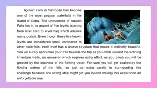 Different types of informational text | PPT