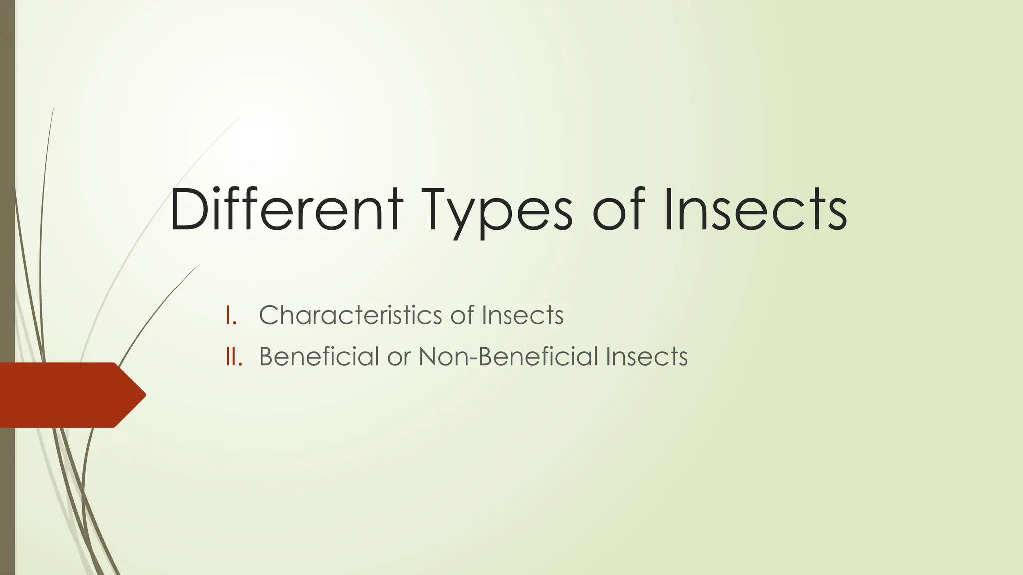 Different Types of Insects and their cha | PPT