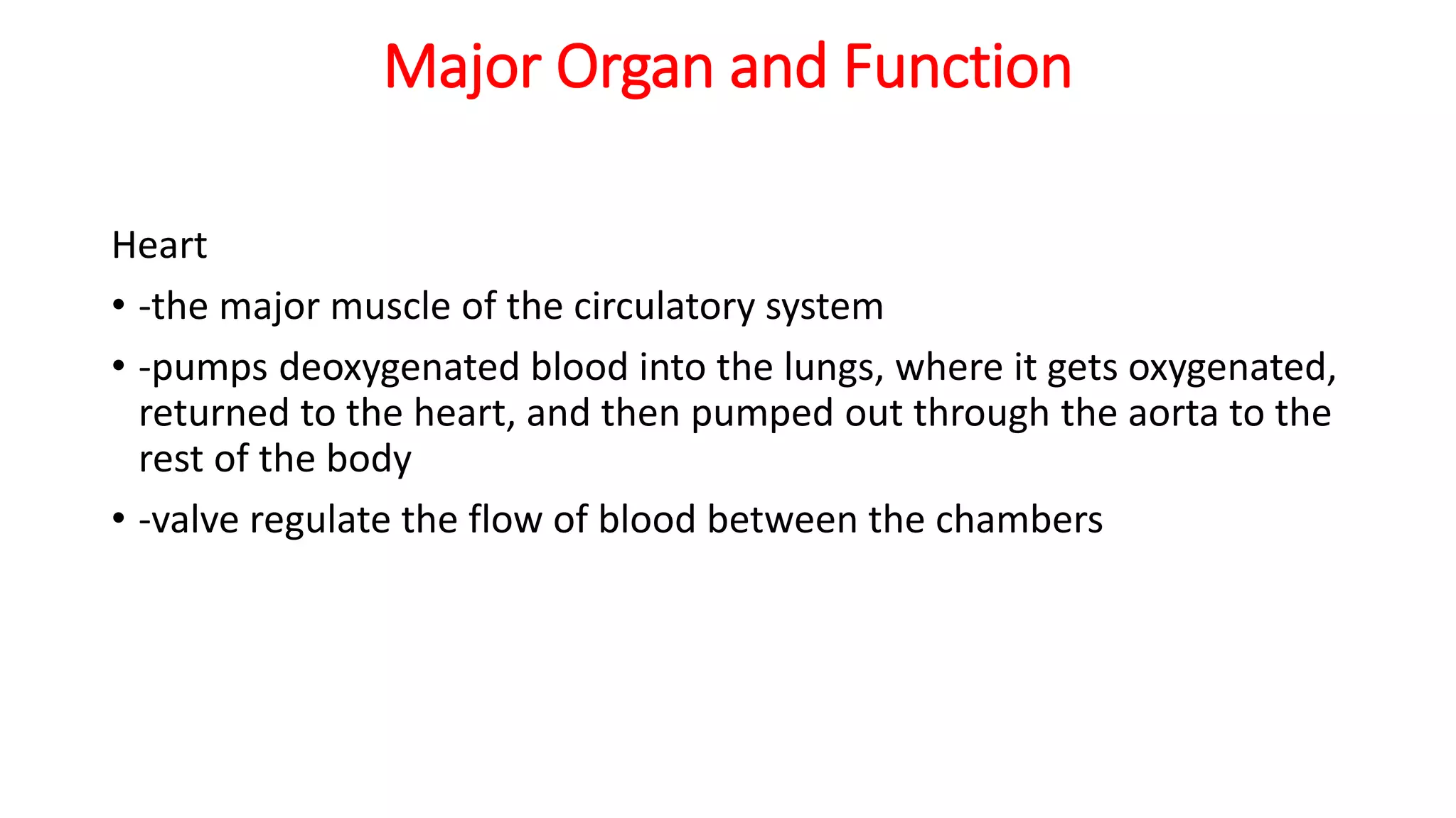Major Organ and Function
Heart
• -the major muscle of the circulatory system
• -pumps deoxygenated blood into the lungs, where it gets oxygenated,
returned to the heart, and then pumped out through the aorta to the
rest of the body
• -valve regulate the flow of blood between the chambers
 
