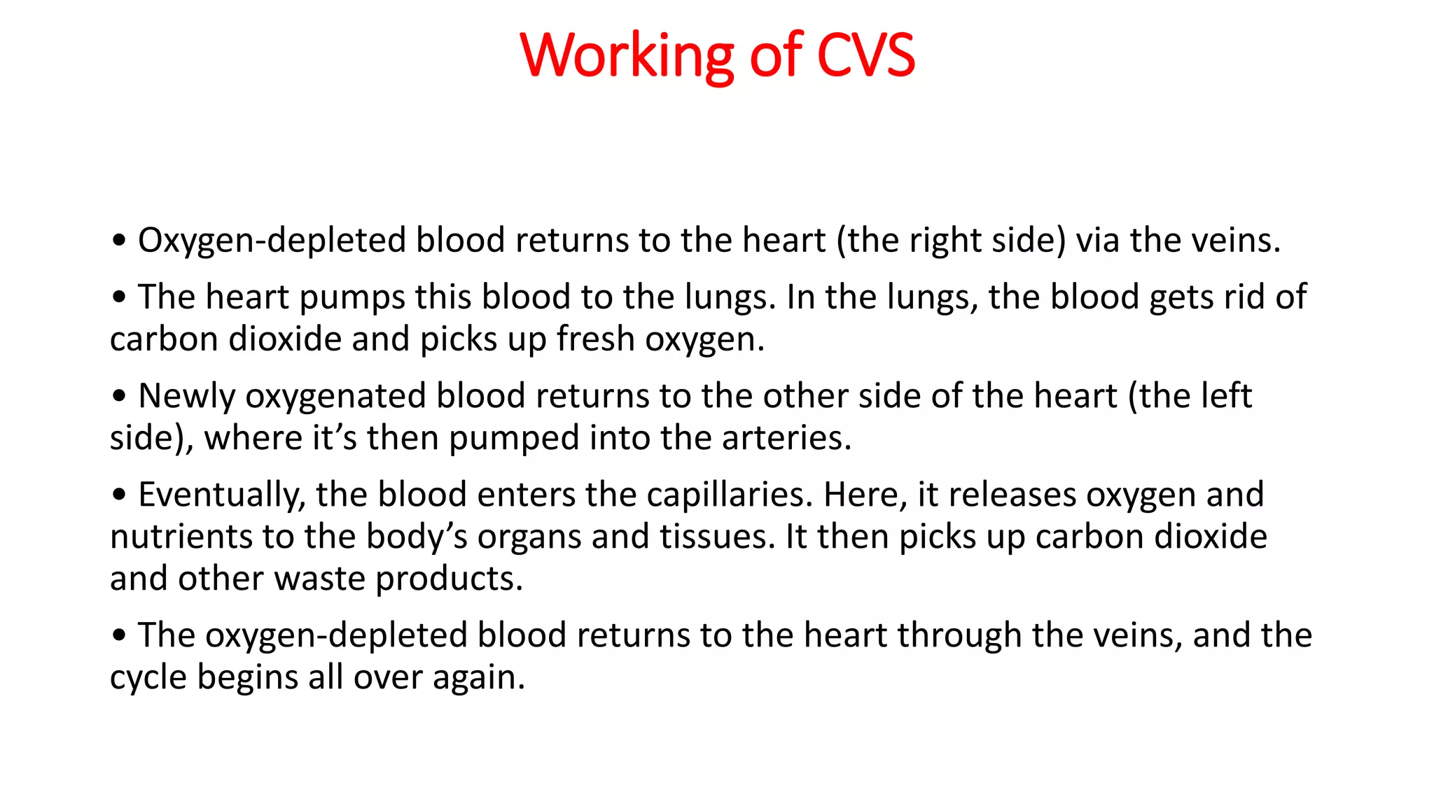 Working of CVS
• Oxygen-depleted blood returns to the heart (the right side) via the veins.
• The heart pumps this blood to the lungs. In the lungs, the blood gets rid of
carbon dioxide and picks up fresh oxygen.
• Newly oxygenated blood returns to the other side of the heart (the left
side), where it’s then pumped into the arteries.
• Eventually, the blood enters the capillaries. Here, it releases oxygen and
nutrients to the body’s organs and tissues. It then picks up carbon dioxide
and other waste products.
• The oxygen-depleted blood returns to the heart through the veins, and the
cycle begins all over again.
 