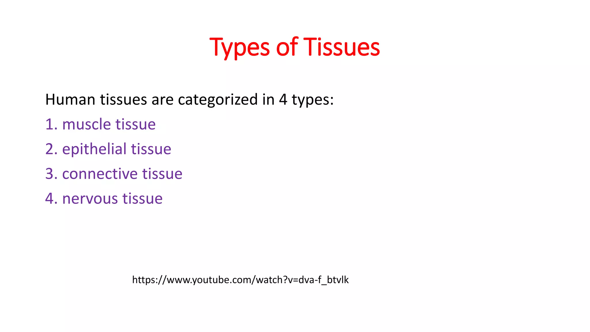 Types of Tissues
Human tissues are categorized in 4 types:
1. muscle tissue
2. epithelial tissue
3. connective tissue
4. nervous tissue
https://www.youtube.com/watch?v=dva-f_btvlk
 