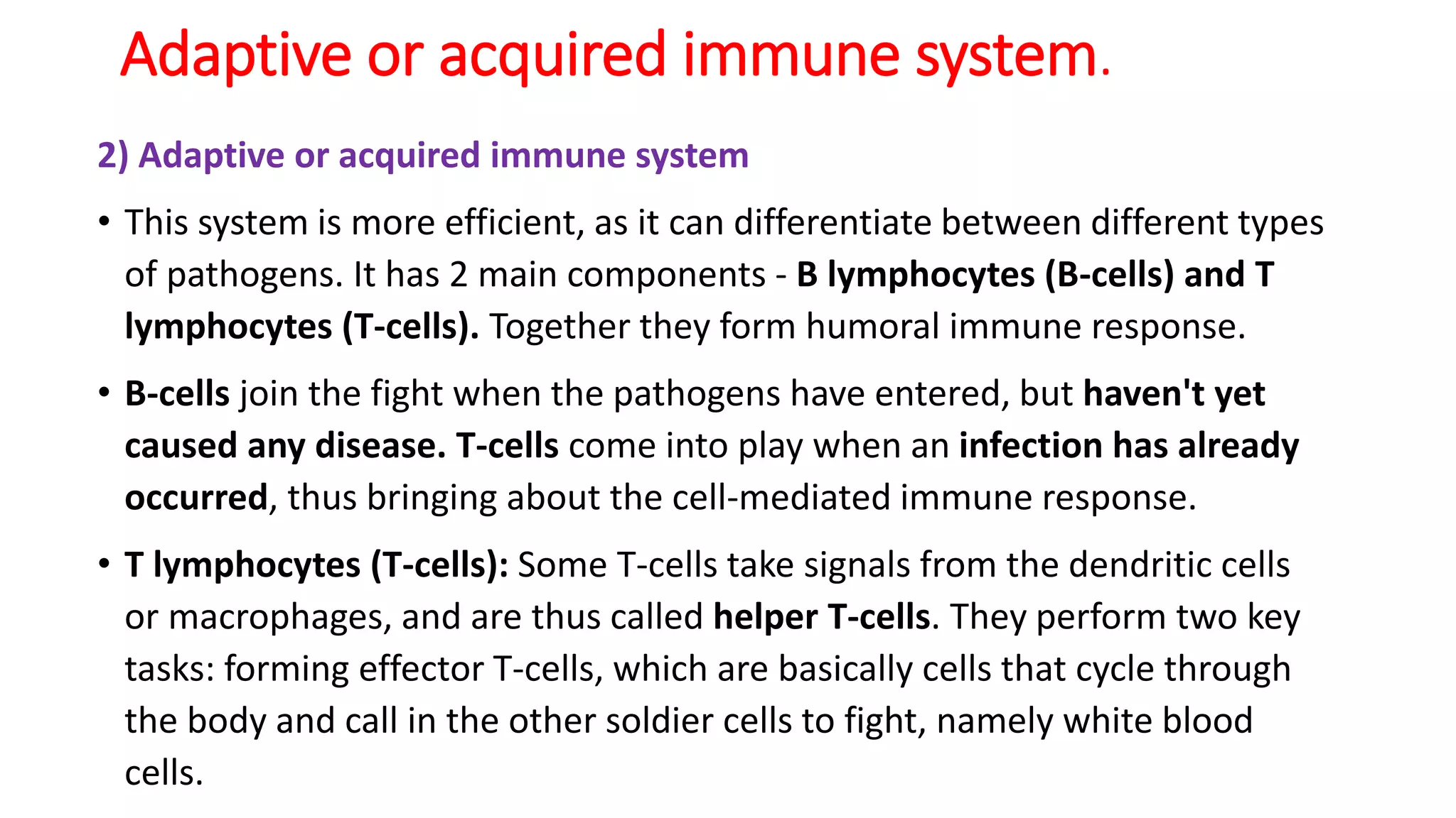 Adaptive or acquired immune system.
2) Adaptive or acquired immune system
• This system is more efficient, as it can differentiate between different types
of pathogens. It has 2 main components - B lymphocytes (B-cells) and T
lymphocytes (T-cells). Together they form humoral immune response.
• B-cells join the fight when the pathogens have entered, but haven't yet
caused any disease. T-cells come into play when an infection has already
occurred, thus bringing about the cell-mediated immune response.
• T lymphocytes (T-cells): Some T-cells take signals from the dendritic cells
or macrophages, and are thus called helper T-cells. They perform two key
tasks: forming effector T-cells, which are basically cells that cycle through
the body and call in the other soldier cells to fight, namely white blood
cells.
 