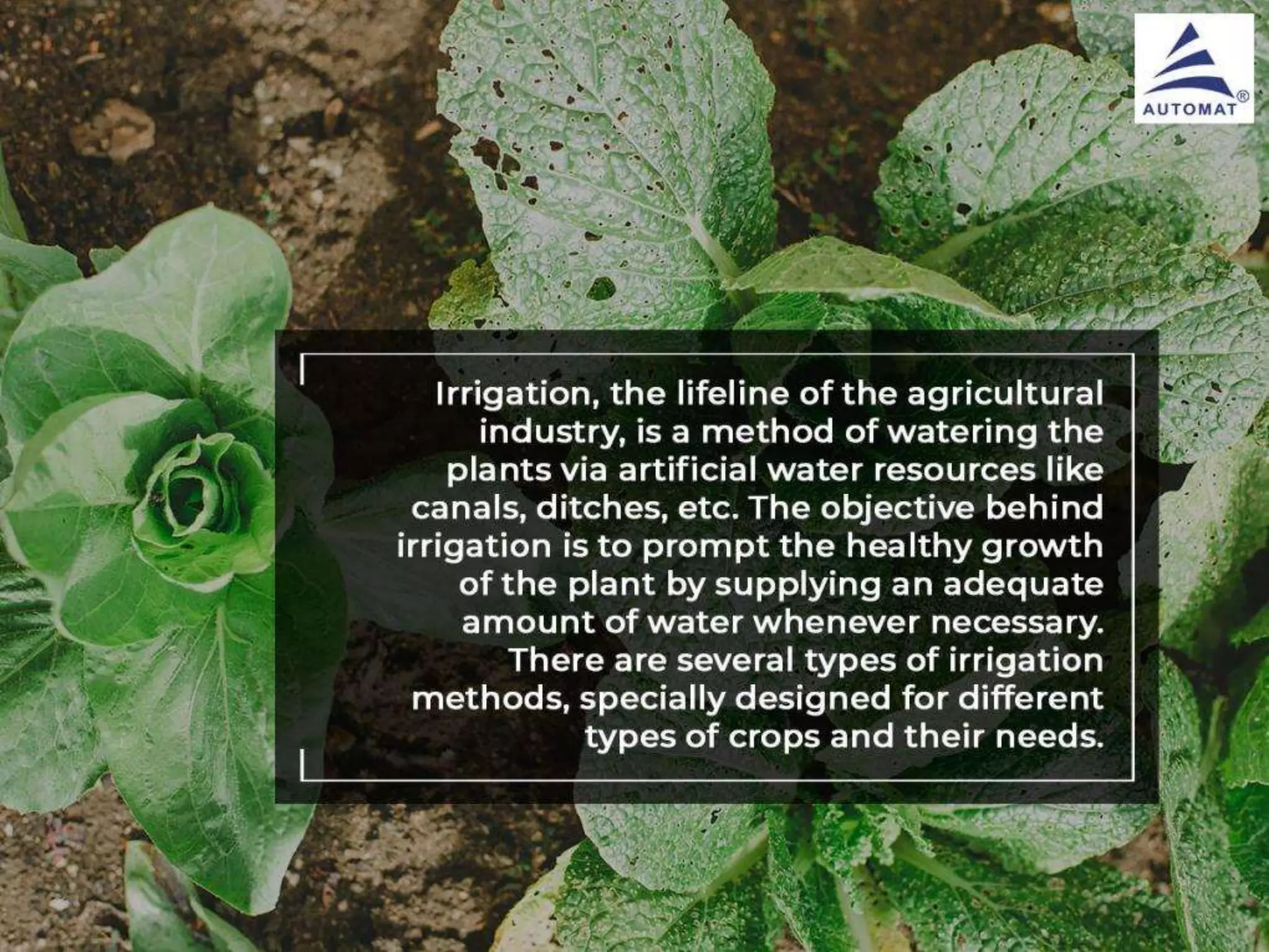 Different Types Of Irrigation Systems PPT