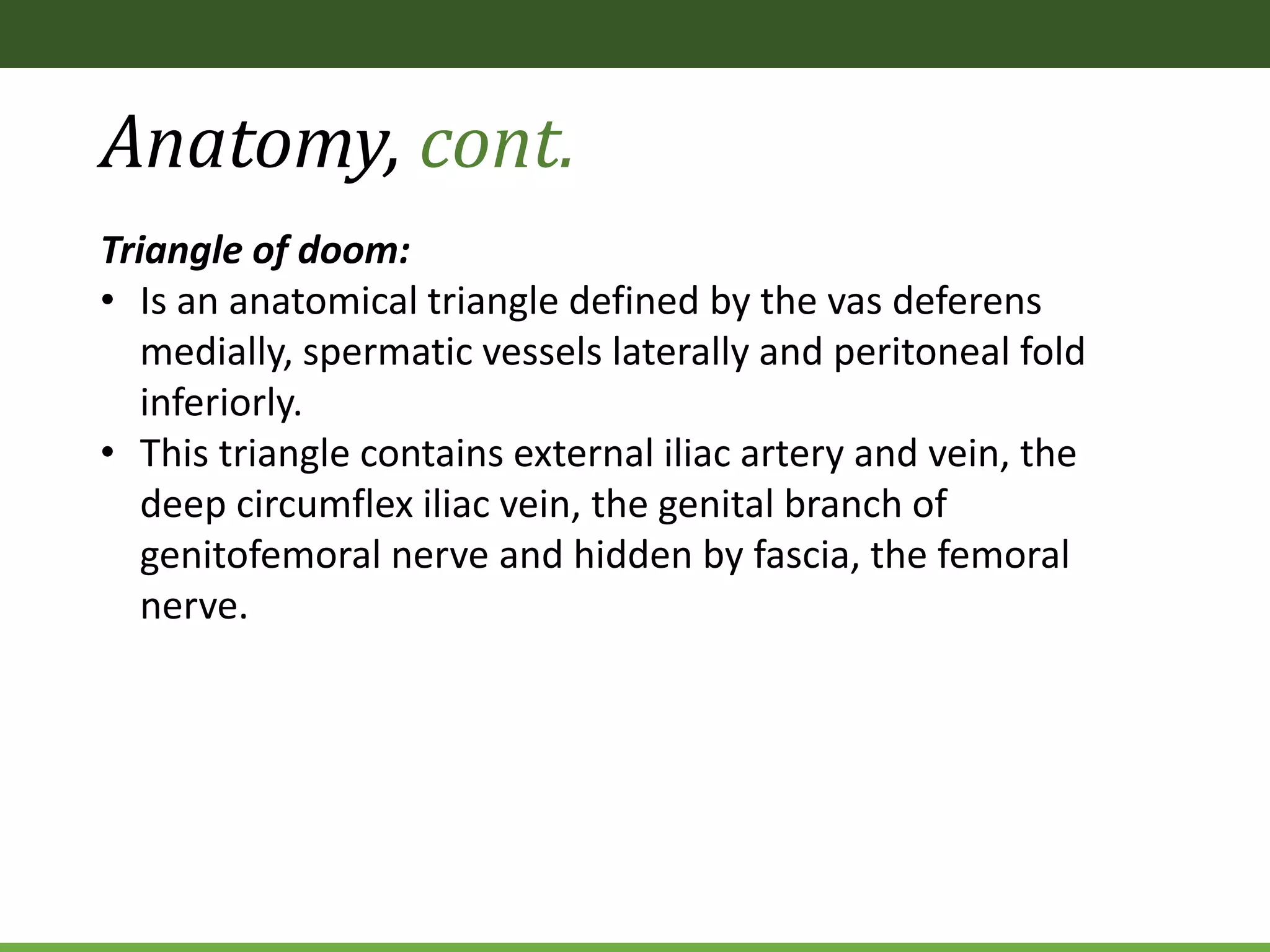 Anatomy, cont.
Triangle of doom:
• Is an anatomical triangle defined by the vas deferens
medially, spermatic vessels laterally and peritoneal fold
inferiorly.
• This triangle contains external iliac artery and vein, the
deep circumflex iliac vein, the genital branch of
genitofemoral nerve and hidden by fascia, the femoral
nerve.
 