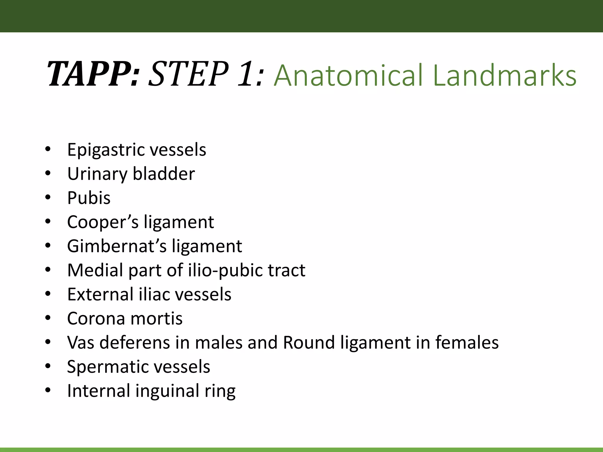 TAPP: STEP 1: Anatomical Landmarks
• Epigastric vessels
• Urinary bladder
• Pubis
• Cooper’s ligament
• Gimbernat’s ligament
• Medial part of ilio-pubic tract
• External iliac vessels
• Corona mortis
• Vas deferens in males and Round ligament in females
• Spermatic vessels
• Internal inguinal ring
 