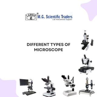 What Are Some Different Types Of Microscope PDF What Are Some Different Types Of Microscope PDF