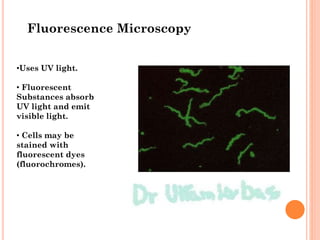 •Uses UV light.
• Fluorescent
Substances absorb
UV light and emit
visible light.
• Cells may be
stained with
fluorescent dyes
(fluorochromes).
Fluorescence Microscopy
 