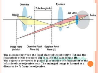 The distance between the focal plane of the objective (f1) and the
focal plane of the eyepiece (f2) is called the tube length (l).
The object to be viewed is placed just outside the focal point at the
left side of the objective lens. The enlarged image is formed at a
distance l + f1 from the objective.
 