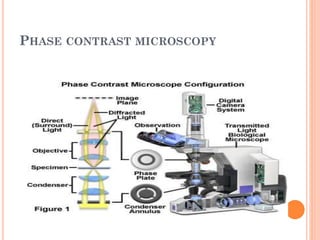 PHASE CONTRAST MICROSCOPY
 