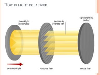 HOW IS LIGHT POLARIZED
 