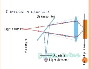 CONFOCAL MICROSCOPY
 