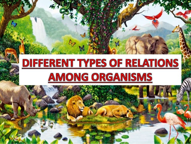 what are the different types of interactions among living organisms what are the different types of interactions among living organisms