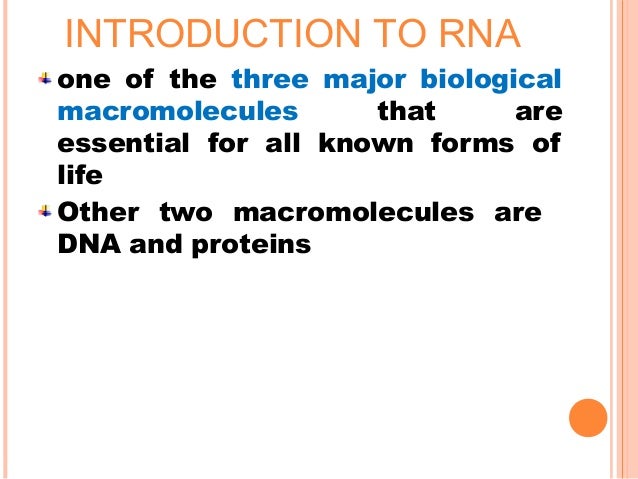 different types of rna translation 3 types of rna