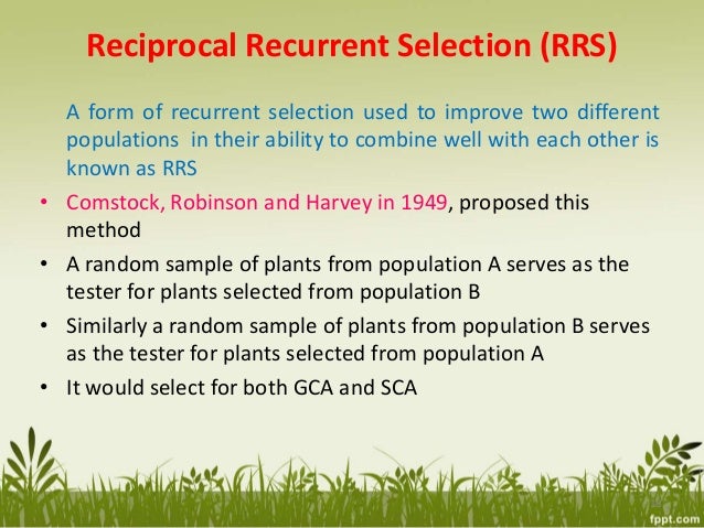 Recurrent selection in plant breeding ppt