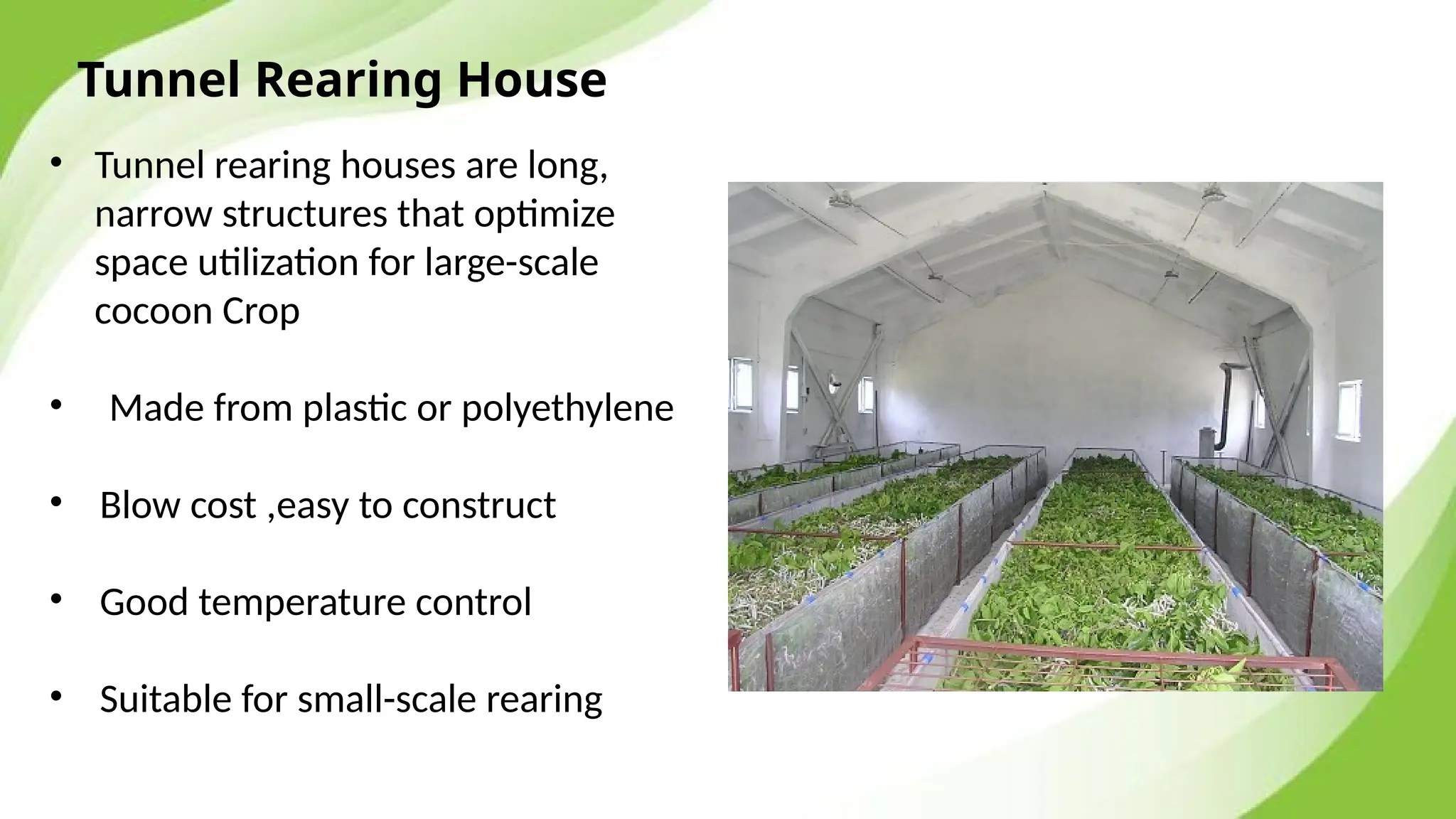 Different Types Of Silk Worm Rearing Houses.pptx