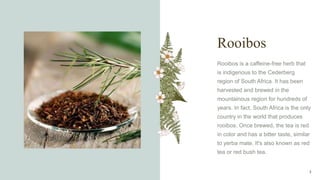 Rooibos
Rooibos is a caffeine-free herb that
is indigenous to the Cederberg
region of South Africa. It has been
harvested and brewed in the
mountainous region for hundreds of
years. In fact, South Africa is the only
country in the world that produces
rooibos. Once brewed, the tea is red
in color and has a bitter taste, similar
to yerba mate. It's also known as red
tea or red bush tea.
3
 