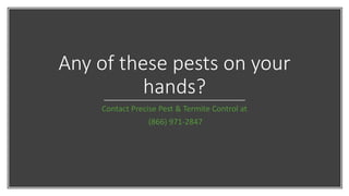 Any of these pests on your
hands?
Contact Precise Pest & Termite Control at
(866) 971-2847