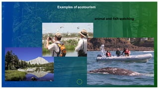 Examples of ecotourism
animal and fish watching
 