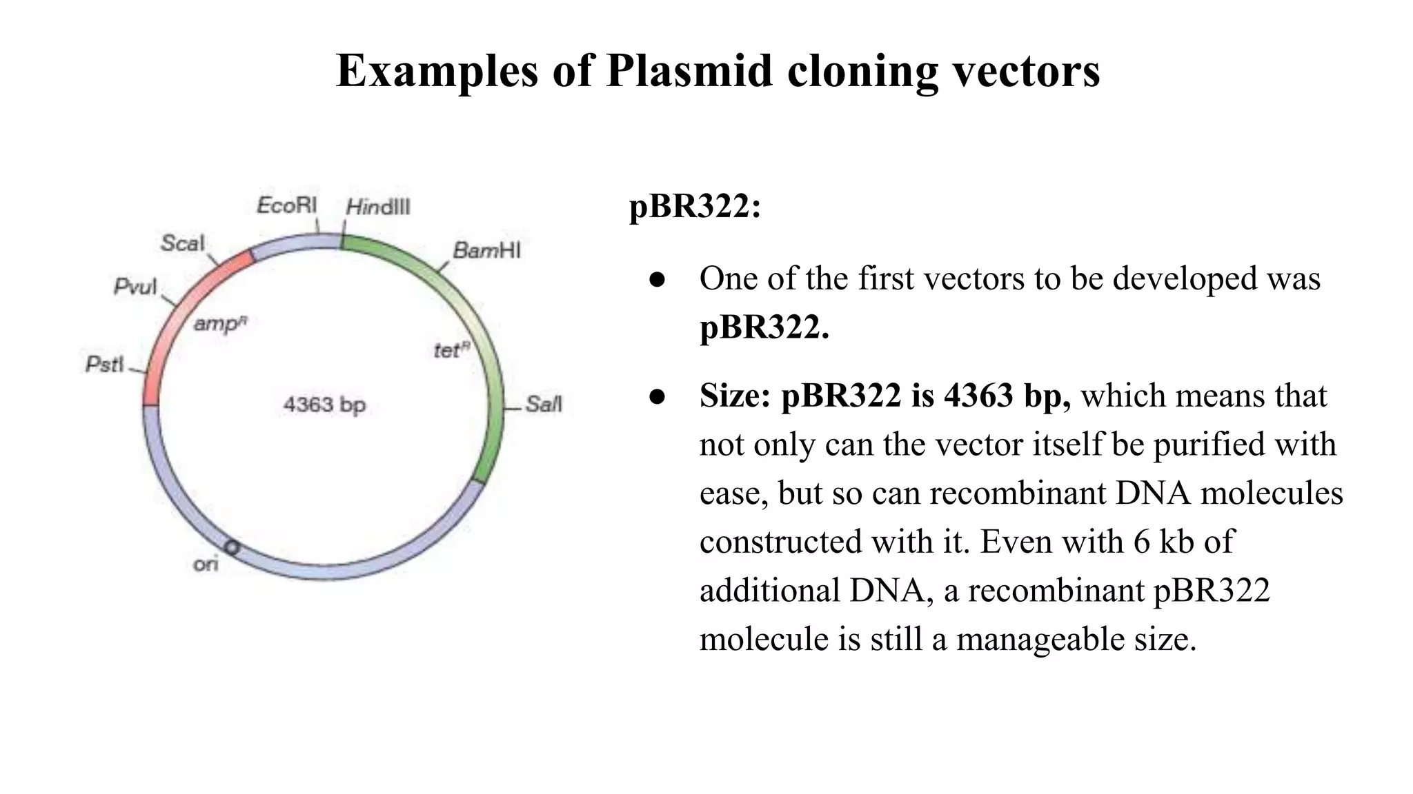 Examples of Plasmid cloning vectors
pBR322:
● One of the first vectors to be developed was
pBR322.
● Size: pBR322 is 4363 bp, which means that
not only can the vector itself be purified with
ease, but so can recombinant DNA molecules
constructed with it. Even with 6 kb of
additional DNA, a recombinant pBR322
molecule is still a manageable size.
 