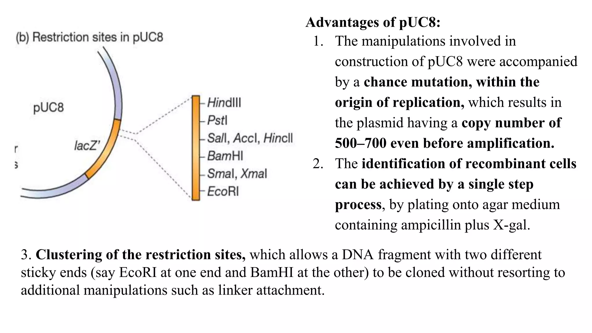 Advantages of pUC8:
1. The manipulations involved in
construction of pUC8 were accompanied
by a chance mutation, within the
origin of replication, which results in
the plasmid having a copy number of
500–700 even before amplification.
2. The identification of recombinant cells
can be achieved by a single step
process, by plating onto agar medium
containing ampicillin plus X-gal.
3. Clustering of the restriction sites, which allows a DNA fragment with two different
sticky ends (say EcoRI at one end and BamHI at the other) to be cloned without resorting to
additional manipulations such as linker attachment.
 