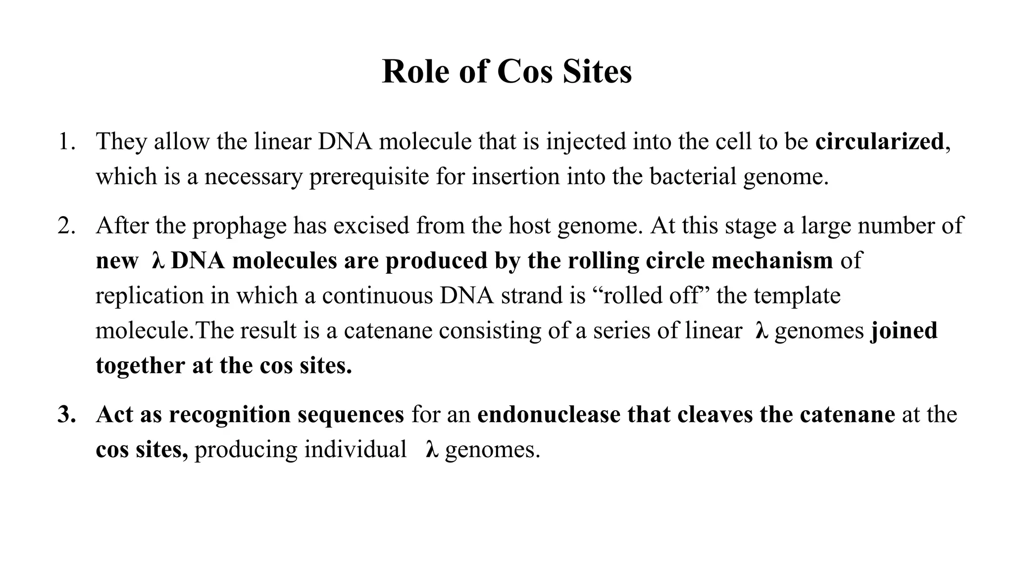 Role of Cos Sites
1. They allow the linear DNA molecule that is injected into the cell to be circularized,
which is a necessary prerequisite for insertion into the bacterial genome.
2. After the prophage has excised from the host genome. At this stage a large number of
new λ DNA molecules are produced by the rolling circle mechanism of
replication in which a continuous DNA strand is “rolled off” the template
molecule.The result is a catenane consisting of a series of linear λ genomes joined
together at the cos sites.
3. Act as recognition sequences for an endonuclease that cleaves the catenane at the
cos sites, producing individual λ genomes.
 