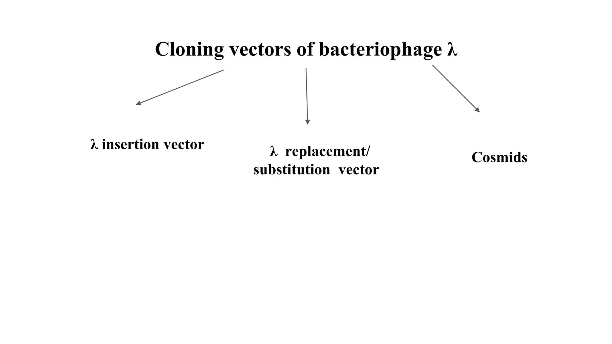 Cloning vectors of bacteriophage λ
λ insertion vector λ replacement/
substitution vector
Cosmids
 