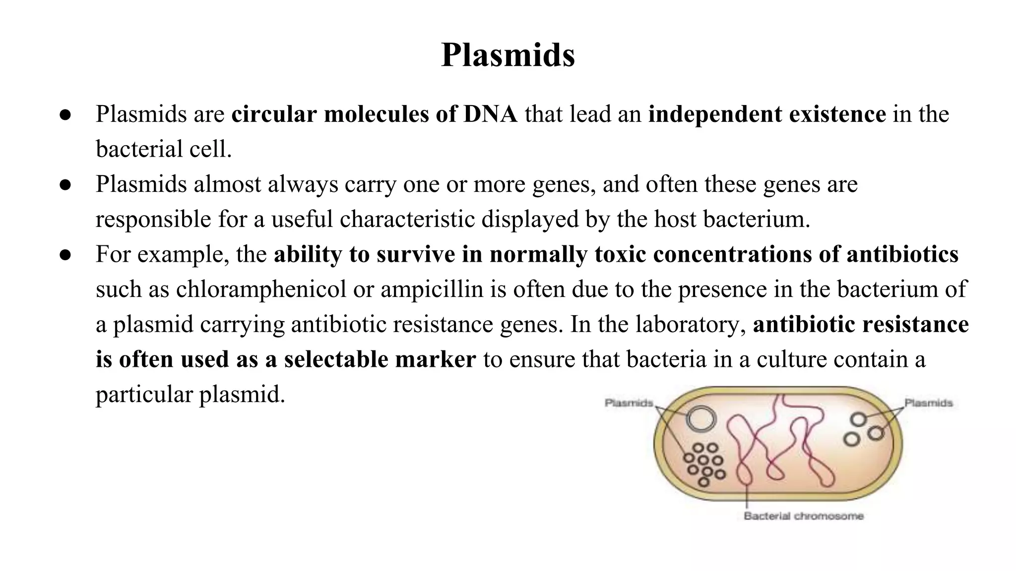 Plasmids
● Plasmids are circular molecules of DNA that lead an independent existence in the
bacterial cell.
● Plasmids almost always carry one or more genes, and often these genes are
responsible for a useful characteristic displayed by the host bacterium.
● For example, the ability to survive in normally toxic concentrations of antibiotics
such as chloramphenicol or ampicillin is often due to the presence in the bacterium of
a plasmid carrying antibiotic resistance genes. In the laboratory, antibiotic resistance
is often used as a selectable marker to ensure that bacteria in a culture contain a
particular plasmid.
 