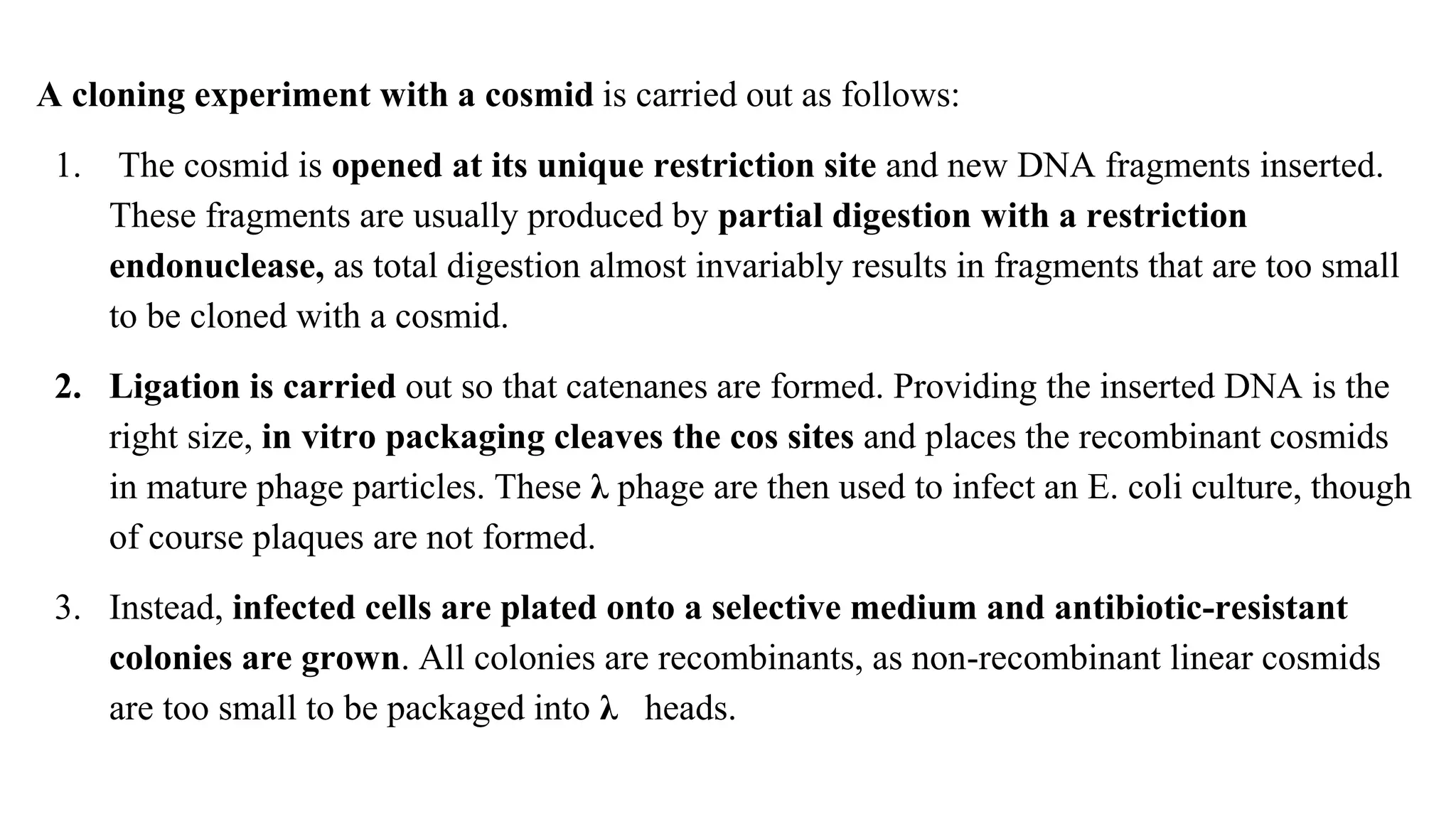 A cloning experiment with a cosmid is carried out as follows:
1. The cosmid is opened at its unique restriction site and new DNA fragments inserted.
These fragments are usually produced by partial digestion with a restriction
endonuclease, as total digestion almost invariably results in fragments that are too small
to be cloned with a cosmid.
2. Ligation is carried out so that catenanes are formed. Providing the inserted DNA is the
right size, in vitro packaging cleaves the cos sites and places the recombinant cosmids
in mature phage particles. These λ phage are then used to infect an E. coli culture, though
of course plaques are not formed.
3. Instead, infected cells are plated onto a selective medium and antibiotic-resistant
colonies are grown. All colonies are recombinants, as non-recombinant linear cosmids
are too small to be packaged into λ heads.
 