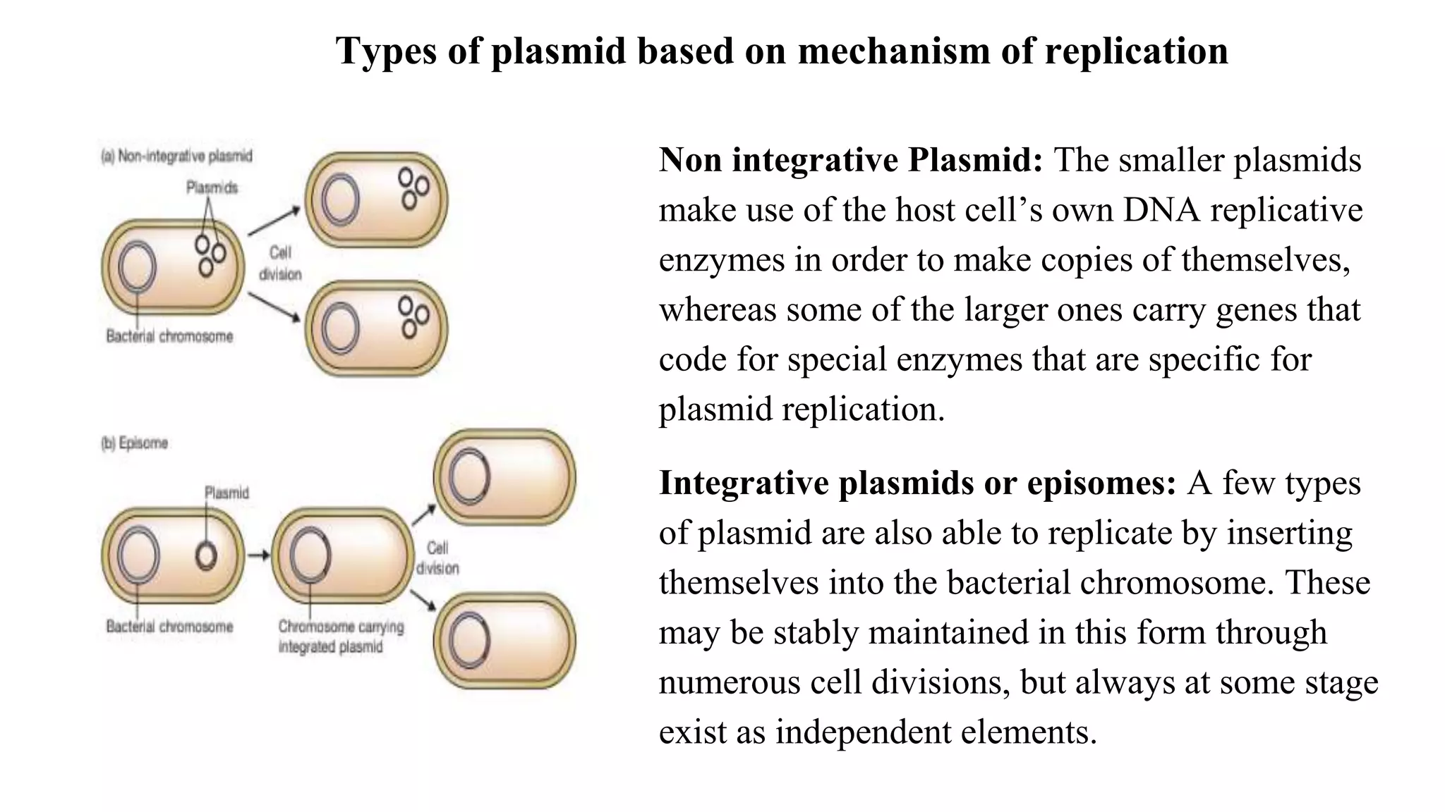 Different types of vectors pptx