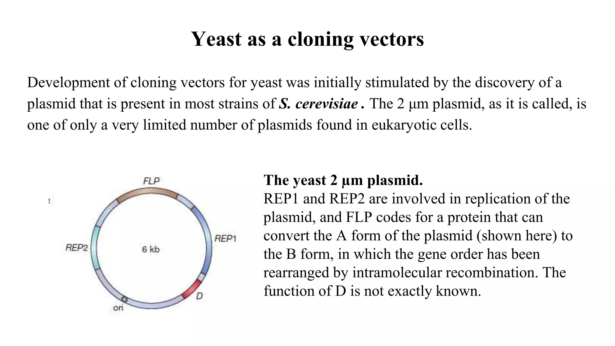 Yeast as a cloning vectors
Development of cloning vectors for yeast was initially stimulated by the discovery of a
plasmid that is present in most strains of S. cerevisiae . The 2 μm plasmid, as it is called, is
one of only a very limited number of plasmids found in eukaryotic cells.
The yeast 2 µm plasmid.
REP1 and REP2 are involved in replication of the
plasmid, and FLP codes for a protein that can
convert the A form of the plasmid (shown here) to
the B form, in which the gene order has been
rearranged by intramolecular recombination. The
function of D is not exactly known.
 