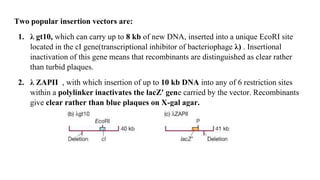 Different types of vectors.pptx