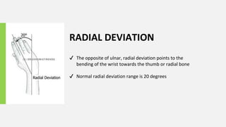 Different types of Wrist Movements Explained | PPTX