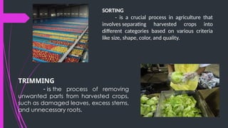 Different_Types_or_Methods_of_Applying_Fertilizer[1].pptx