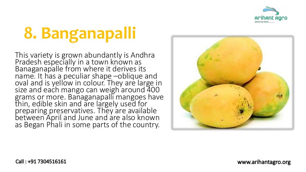 Different Varieties of Mangoes Exported from India Fresh Mango Exp…