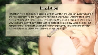 Inhalation
Inhalation refers to inhaling a specific form of CBD that the user can quickly absorb in
their bloodstream via the mucous membranes in their lungs. Smoking dried hemp
flower, inhaling CBD concentrates, or vaporizing CBD oil via a vape pen offers a rapid
way to absorb highly bioavailable CBD. To that end, you can buy CBD oil online, but
remember that inhaling this cannabinoid may expose you to carcinogens or other
harmful chemicals that may irritate or damage the lungs.
 