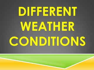 Different Weather Conditions