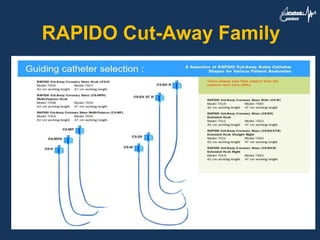 RAPIDO Cut-Away Family
 