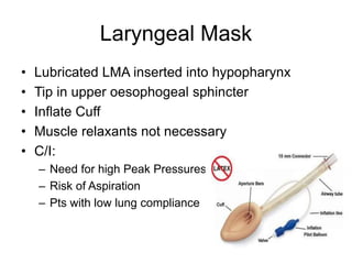 Laryngeal Mask
• Lubricated LMA inserted into hypopharynx
• Tip in upper oesophogeal sphincter
• Inflate Cuff
• Muscle relaxants not necessary
• C/I:
– Need for high Peak Pressures
– Risk of Aspiration
– Pts with low lung compliance
 