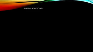 BLADDER ADHESIOLYSIS
 