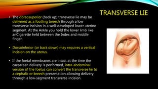 TRANSVERSE LIE• The dorsosuperior (back up) transverse lie may be
delivered as a footling breech through a low
transverse incision in a well-developed lower uterine
segment. At the Ankle you hold the lower limb like
anCigarette held between the Index and middle
finger.
• Dorsoinferior (or back down) may requires a vertical
incision on the uterus.
• If the foetal membranes are intact at the time the
caesarean delivery is performed, intra-abdominal
version of the foetus can convert the transverse lie to
a cephalic or breech presentation allowing delivery
through a low-segment transverse incision.
 