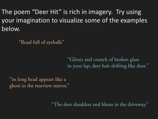 The poem “Deer Hit” is rich in imagery. Try using
your imagination to visualize some of the examples
below.
 