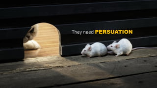 They need PERSUATION
 