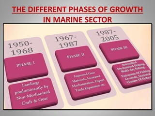 THE DIFFERENT PHASES OF GROWTH
IN MARINE SECTOR
 