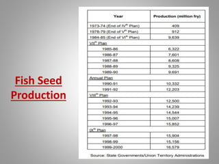 Fish Seed
Production
 