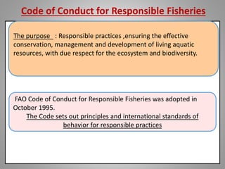 Code of Conduct for Responsible Fisheries
The purpose : Responsible practices ,ensuring the effective
conservation, management and development of living aquatic
resources, with due respect for the ecosystem and biodiversity.
FAO Code of Conduct for Responsible Fisheries was adopted in
October 1995.
The Code sets out principles and international standards of
behavior for responsible practices
 