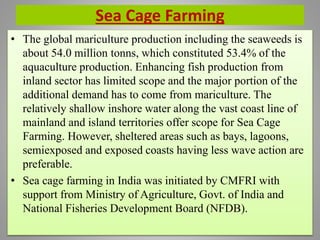 Sea Cage Farming
• The global mariculture production including the seaweeds is
about 54.0 million tonns, which constituted 53.4% of the
aquaculture production. Enhancing fish production from
inland sector has limited scope and the major portion of the
additional demand has to come from mariculture. The
relatively shallow inshore water along the vast coast line of
mainland and island territories offer scope for Sea Cage
Farming. However, sheltered areas such as bays, lagoons,
semiexposed and exposed coasts having less wave action are
preferable.
• Sea cage farming in India was initiated by CMFRI with
support from Ministry of Agriculture, Govt. of India and
National Fisheries Development Board (NFDB).
 