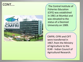 The Central Institute of
Fisheries Education
(CIFE) was established
in 1961 at Mumbai and
was elevated to the
status of a Deemed
University on 1989.
CMFRI, CIFRI and CIFT
were transferred in
1967, from the Ministry
of Agriculture to the
ICAR - Indian Council of
Agricultural Research.
 