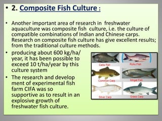 • 2. Composite Fish Culture :
• Another important area of research in freshwater
aquaculture was composite fish culture, i.e. the culture of
compatible combinations of Indian and Chinese carps.
Research on composite fish culture has give excellent results;
from the traditional culture methods.
• producing about 600 kg/ha/
year, it has been possible to
exceed 10 t/ha/year by this
culture system
• The research and develop
ment of experimental fish
farm CIFA was so
supportive as to result in an
explosive growth of
freshwater fish culture.
 