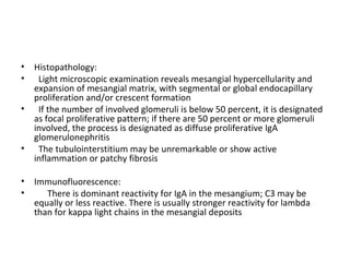 Histopathology:  Light microscopic examination reveals mesangial hypercellularity and expansion of mesangial matrix, with segmental or global endocapillary proliferation and/or crescent formation If the number of involved glomeruli is below 50 percent, it is designated as focal proliferative pattern; if there are 50 percent or more glomeruli involved, the process is designated as diffuse proliferative IgA glomerulonephritis The tubulointerstitium may be unremarkable or show active inflammation or patchy fibrosis Immunofluorescence:  There is dominant reactivity for IgA in the mesangium; C3 may be equally or less reactive. There is usually stronger reactivity for lambda than for kappa light chains in the mesangial deposits  