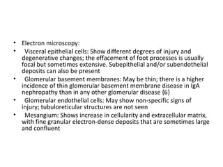 Electron microscopy:  Visceral epithelial cells: Show different degrees of injury and degenerative changes; the effacement of foot processes is usually focal but sometimes extensive. Subepithelial and/or subendothelial deposits can also be present Glomerular basement membranes: May be thin; there is a higher incidence of thin glomerular basement membrane disease in IgA nephropathy than in any other glomerular disease {6} Glomerular endothelial cells: May show non-specific signs of injury; tubuloreticular structures are not seen Mesangium: Shows increase in cellularity and extracellular matrix, with fine granular electron-dense deposits that are sometimes large and confluent 